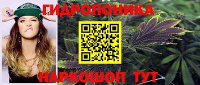 гашик Бузулук