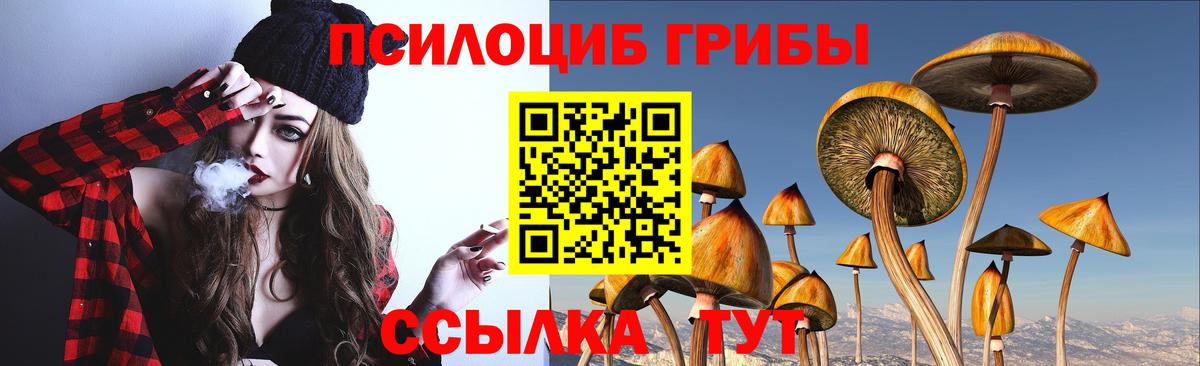 Псилоцибиновые грибы мухоморы  Вход с VPN  Псилоцибиновые грибы Psilocybine cubensis  Истра 